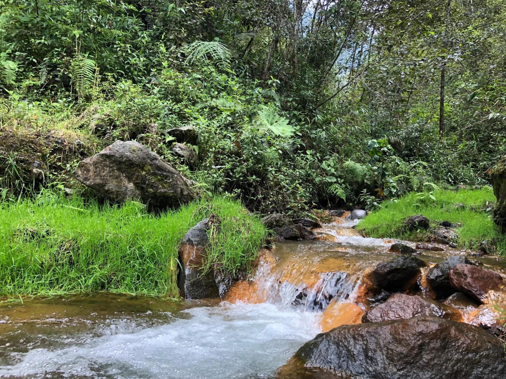 Mountain Chalet - Tungurahua Hot Springs/Aguas Termales 바뇨스 외부 사진